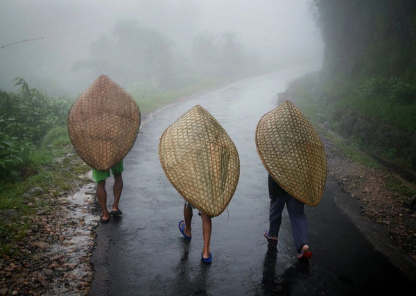 Monsoon in South Asia