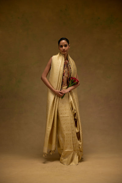 Pearl Noor Saree