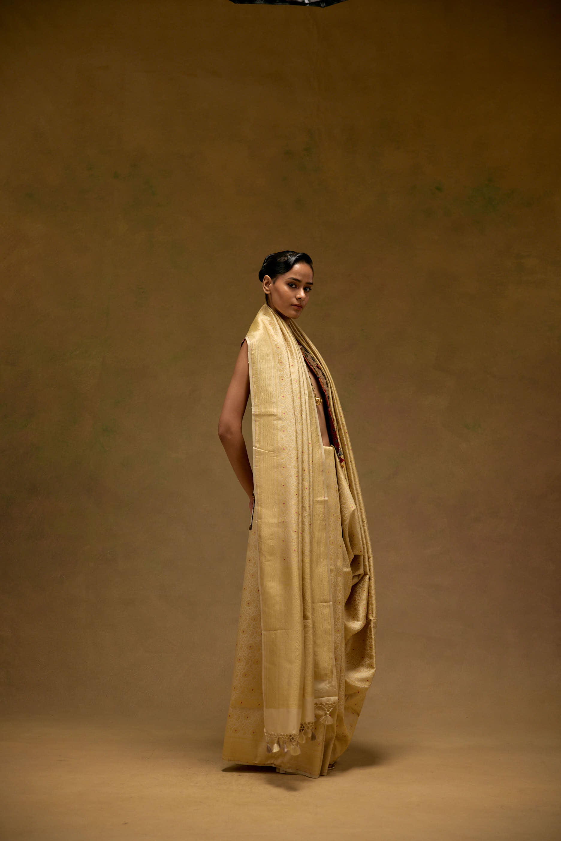 Pearl Noor Saree