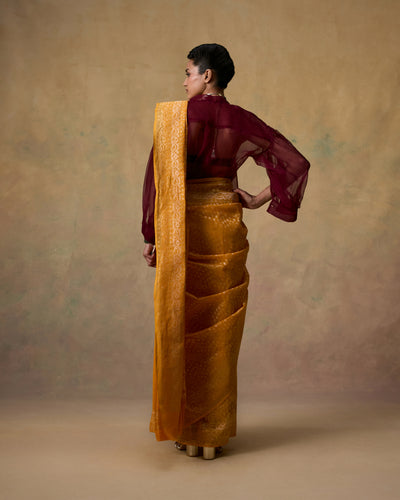 Ruhani Saree