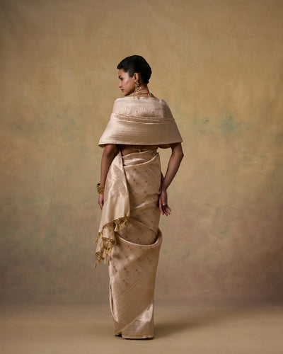 Amara Saree