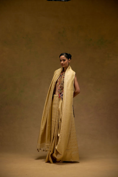 Pearl Noor Saree